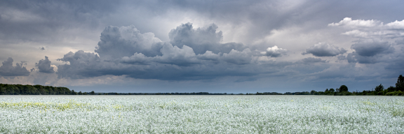 Ópusztaszer region, Hungary