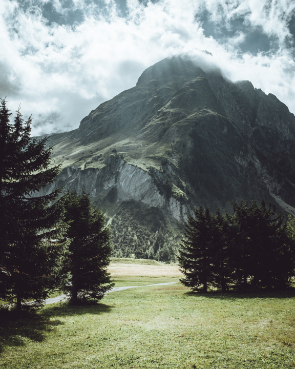 Plateau de l&#039;A Neuve, Val Ferret, Switzerland