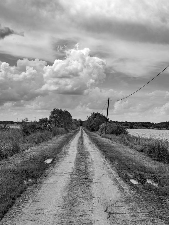 Road in Ópusztaszer region